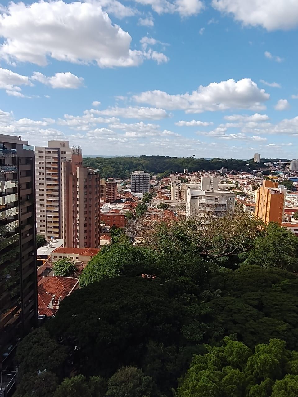 Apartamento - Venda - Centro - Ribeiro Preto 