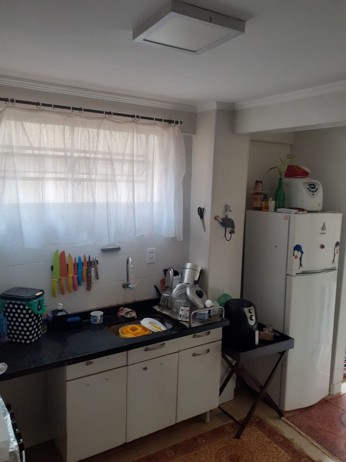 Apartamento - Venda - Vila Virgnia  - Ribeiro Preto 