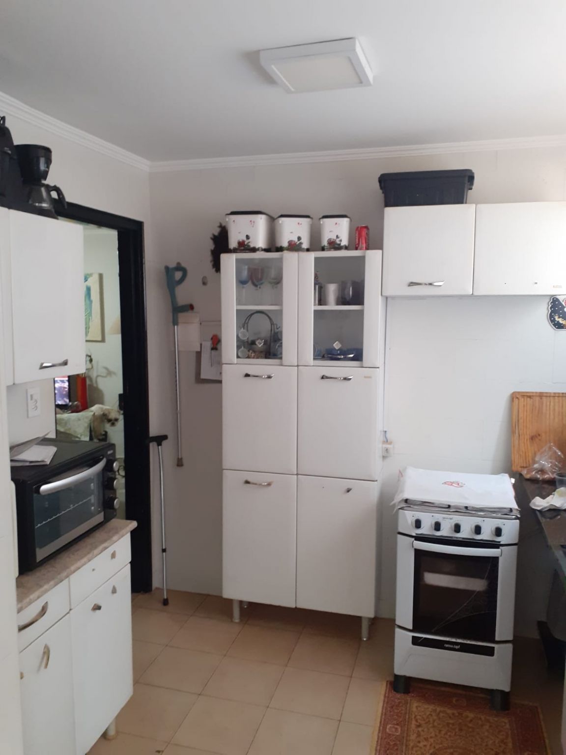 Apartamento - Venda - Vila Virgnia  - Ribeiro Preto 