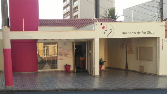 Salo Comercial - Locao - Vila Seixas - Ribeiro Preto 